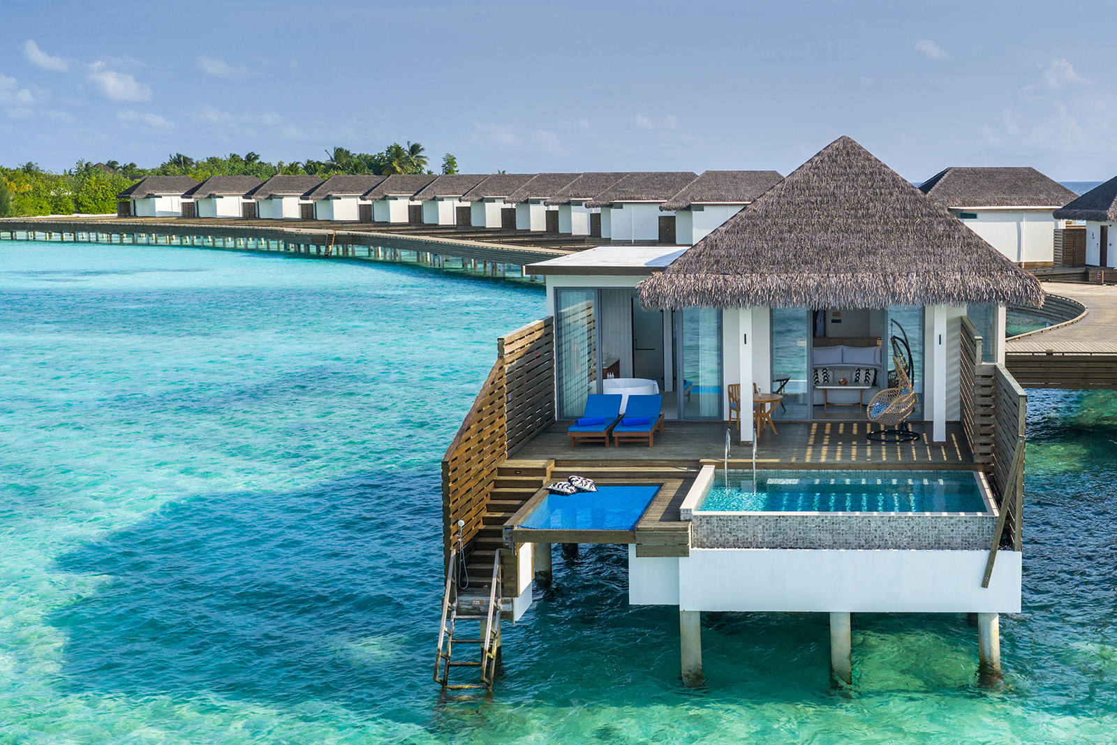 Overwater Pool Villa at dusitD2 Feydhoo Maldives - photo 1