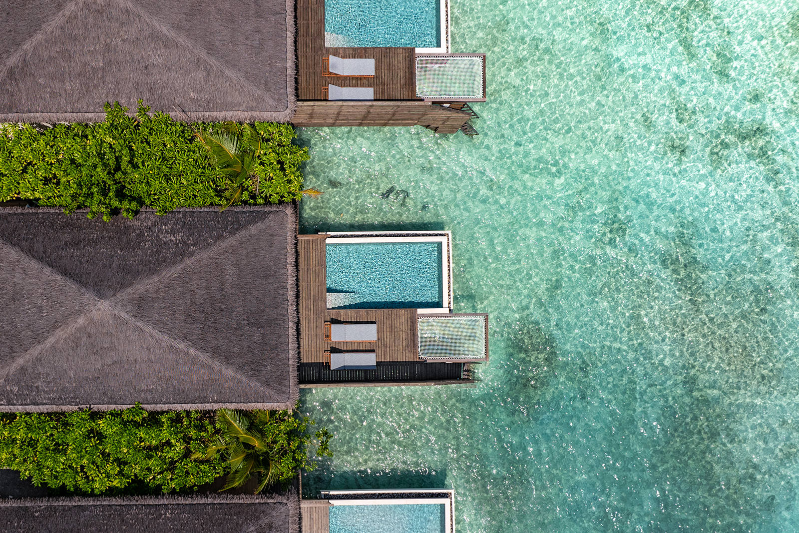 Waterfront Pool Villa at dusitD2 Feydhoo Maldives - photo 1