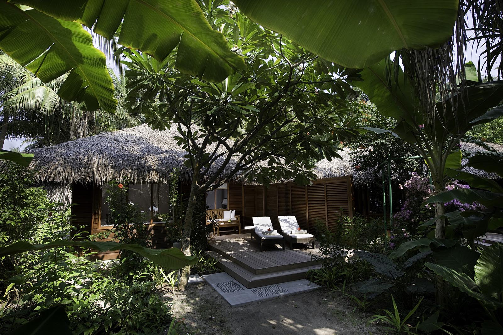 Beach Bungalow at Niva Kuramathi Maldives - photo 1