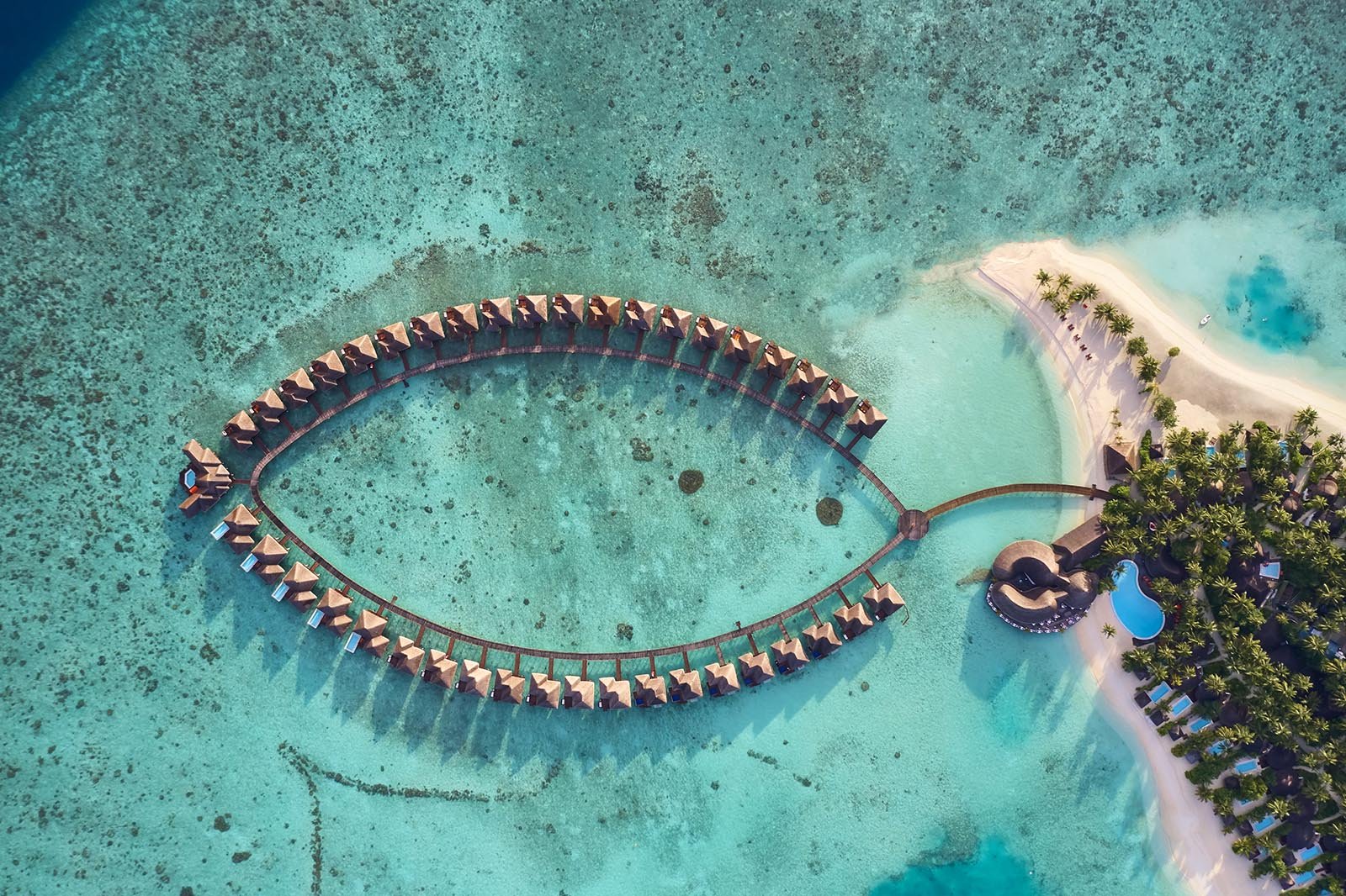 Sun Siyam Vilu Reef gallery image 1